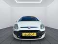 Fiat Punto Evo Punto Evo 1,4 75 S S Weiß - thumbnail 2