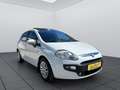 Fiat Punto Evo Punto Evo 1,4 75 S S Weiß - thumbnail 8