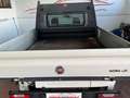 Fiat Doblo Doblo 1.6 mjt 105cv Cassonato Work UP Bianco - thumbnail 9