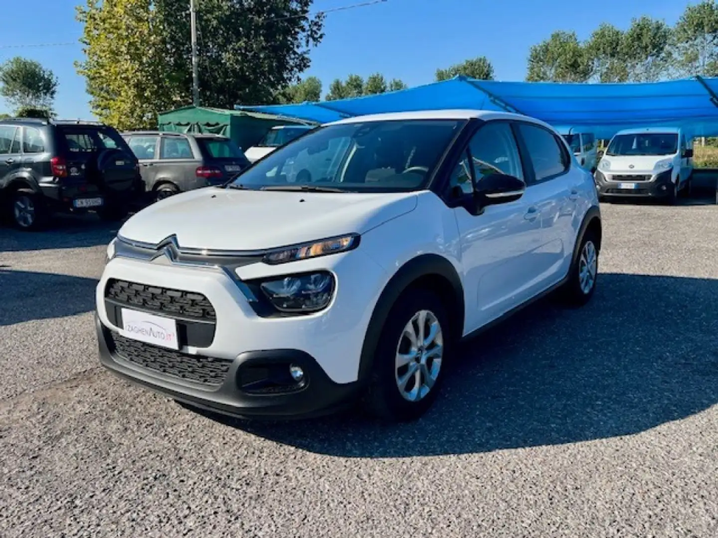 Citroen C3 BlueHDi 100 S&S Van N1 2POSTI + IVA Bianco - 2