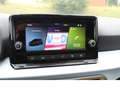 SEAT Arona 1,0 TSI Style Vamos/LED/SHZ/PDZ Gris - thumbnail 11