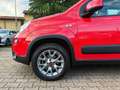 Fiat Panda 1.3 MJT 80 CV S&S 4x4 OK NEOPATENTATI Rosso - thumbnail 14