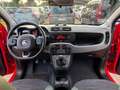 Fiat Panda 1.3 MJT 80 CV S&S 4x4 OK NEOPATENTATI Rosso - thumbnail 11