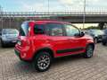 Fiat Panda 1.3 MJT 80 CV S&S 4x4 OK NEOPATENTATI Rosso - thumbnail 5