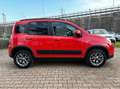Fiat Panda 1.3 MJT 80 CV S&S 4x4 OK NEOPATENTATI Rosso - thumbnail 4