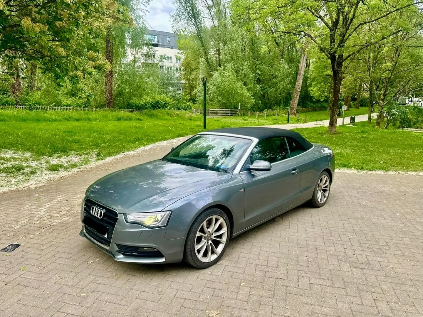 Audi A5 Cabriolet 2.0 TDi S line DPF Multitronic Grau - 1