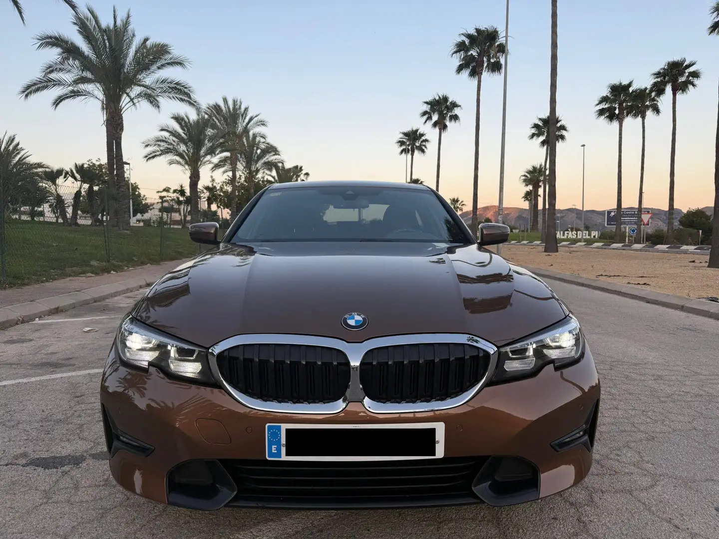 BMW 318 318dA Bronce - 2
