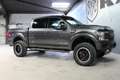 Ford F-150 SHELBY Gris - thumbnail 11