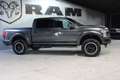 Ford F-150 SHELBY Gris - thumbnail 2