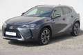 Lexus UX 250h Style Edition Gris - thumbnail 8