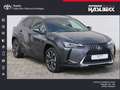 Lexus UX 250h Style Edition Gris - thumbnail 1