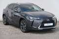 Lexus UX 250h Style Edition Gris - thumbnail 2