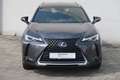 Lexus UX 250h Style Edition Gris - thumbnail 9