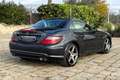 Mercedes-Benz SLK 250 CDI Premium AMG Tetto Panorama/Pelle/Xeno Gris - thumbnail 14