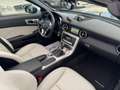 Mercedes-Benz SLK 250 CDI Premium AMG Tetto Panorama/Pelle/Xeno Gris - thumbnail 24