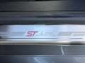 Ford Fiesta 5p 1.5 tdci ST-Line 85cv Grigio - thumbnail 13
