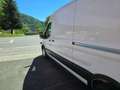 Ford Transit 350 Trend Weiß - thumbnail 6