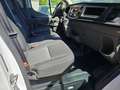 Ford Transit 350 Trend Weiß - thumbnail 25