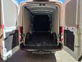Ford Transit 350 Trend Weiß - thumbnail 11