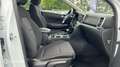 Kia Sportage 1.6 CRDi 136ch MHEV Active 4x2 DCT7 - thumbnail 15