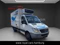 Mercedes-Benz Sprinter 516 CDI Kühlwagen Kühlkoffer White - thumbnail 3