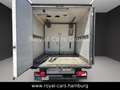 Mercedes-Benz Sprinter 516 CDI Kühlwagen Kühlkoffer Білий - thumbnail 5