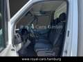 Mercedes-Benz Sprinter 516 CDI Kühlwagen Kühlkoffer White - thumbnail 6