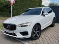 Volvo XC60 R Design AWD|Memory|Leder| Blanc - thumbnail 2
