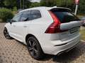 Volvo XC60 R Design AWD|Memory|Leder| Blanc - thumbnail 7