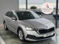 Skoda Octavia 1.6TDI CR Ambition Gris - thumbnail 4