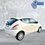 Lancia Ypsilon Ypsilon 1.2 69 CV 5 porte GPL Ecochic Gold - thumbnail 8