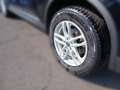 Renault Koleos KOLEOS Initiale Paris dCi 185 4WD X-Tronic Schwarz - thumbnail 5