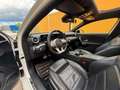 Mercedes-Benz A 250 AMG Line / Pano / Ambiente / Multibeam LED / Night Weiß - thumbnail 8