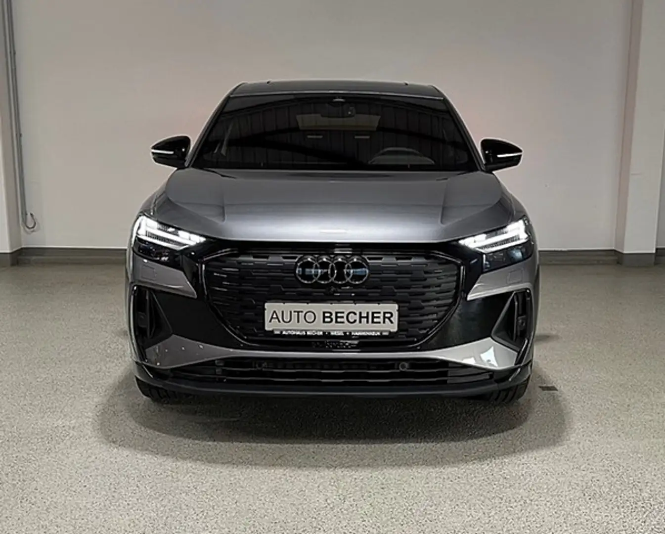 Audi e-tron /AHK/Navi/Pano/LED/ Grau - 2