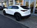 Mazda CX-30 2.5 e-Skyactiv-G 140cv M Hybrid Nagisa Bianco - thumbnail 9