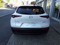 Mazda CX-30 2.5 e-Skyactiv-G 140cv M Hybrid Nagisa Bianco - thumbnail 10