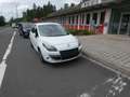 Renault Scenic III Authentique 2 Sitzer Blanco - thumbnail 3