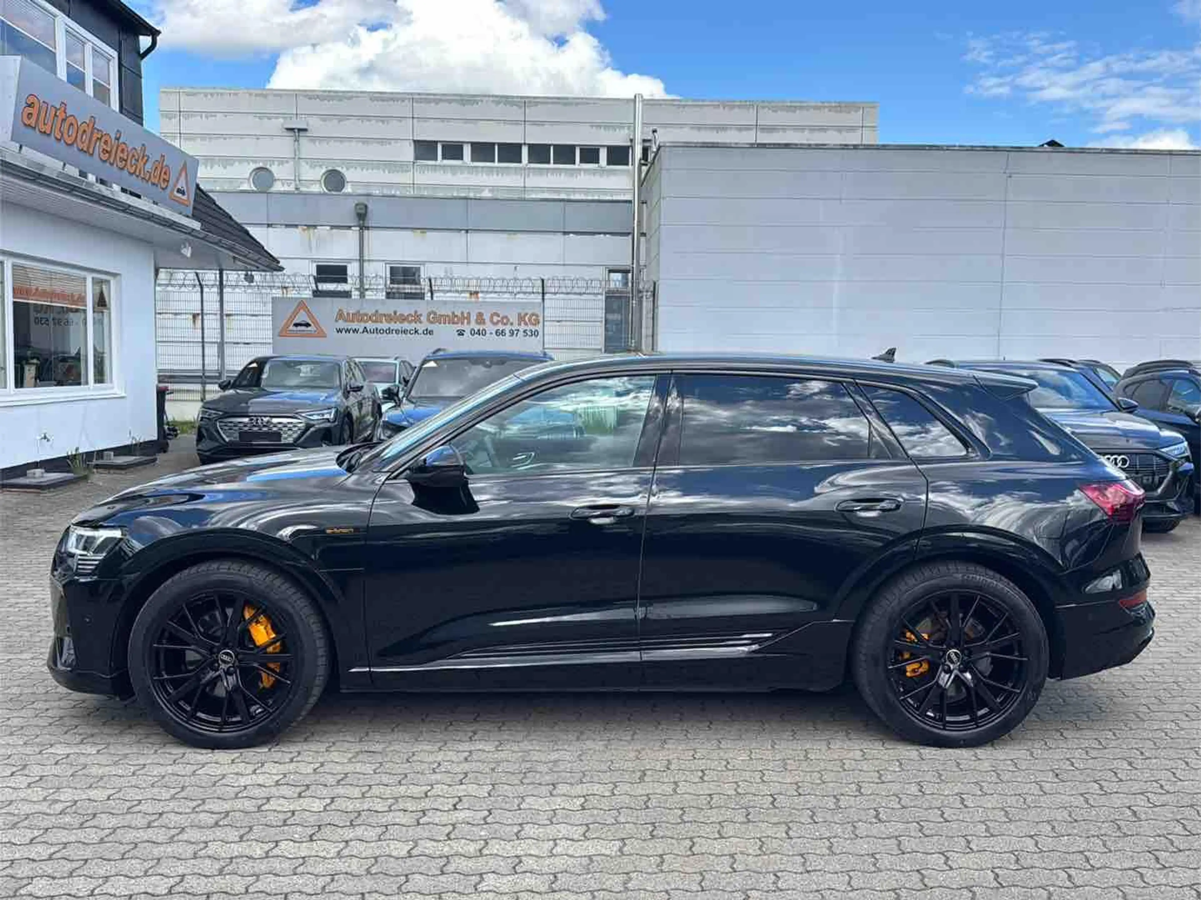 Audi e-tron 55 2x S line BLACK EDITION AHK HuD KAMERA — photo 12
