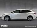 Suzuki Swace Comfort+ CVT Hybrid Weiß - thumbnail 3