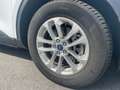 Ford Kuga Kuga 2,5 Duratec PHEV TITANUM Weiß - thumbnail 7