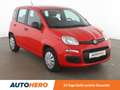 Fiat Panda 1.2 Easy *KLIMA*GARANTIE* Rot - thumbnail 8