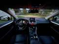 Lexus NX 300h Limited Hybrid Allrad Aut. Gris - thumbnail 4