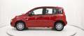 Fiat Panda Panda III 2024 1.0 firefly hybrid s Rojo - thumbnail 3