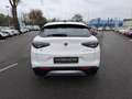 Alfa Romeo Stelvio 2.0 T 280 CV Super AT8 Q4 Bianco - thumbnail 4