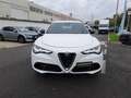 Alfa Romeo Stelvio 2.0 T 280 CV Super AT8 Q4 Bianco - thumbnail 7