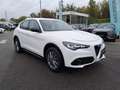 Alfa Romeo Stelvio 2.0 T 280 CV Super AT8 Q4 Bianco - thumbnail 6