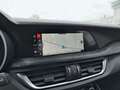 Alfa Romeo Stelvio 2.0 T 280 CV Super AT8 Q4 Bianco - thumbnail 14