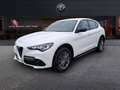 Alfa Romeo Stelvio 2.0 T 280 CV Super AT8 Q4 Bianco - thumbnail 5