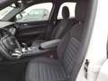 Alfa Romeo Stelvio 2.0 T 280 CV Super AT8 Q4 Bianco - thumbnail 10