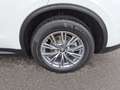 Alfa Romeo Stelvio 2.0 T 280 CV Super AT8 Q4 Bianco - thumbnail 8